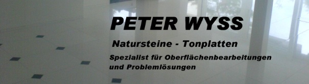 Einzelfirma 
Peter Wyss